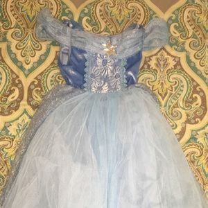 Blue Princess Gown